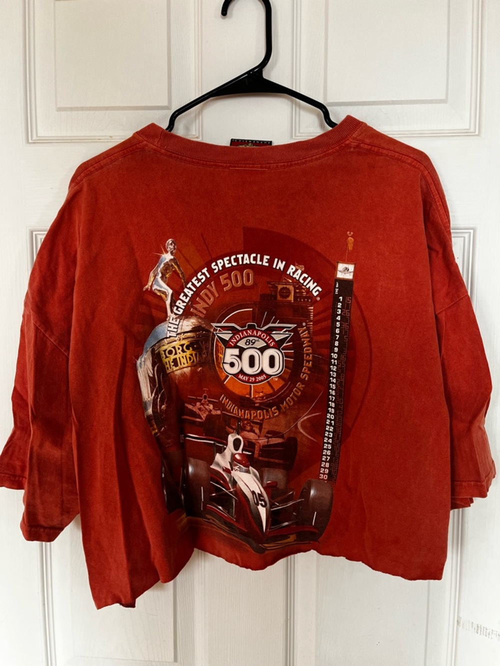 Indianapolis 500 Crop Graphic Tee - Rust Red